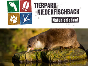 Tiepark Niederfischbach