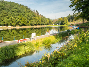 Waldschwimmbad in Hamm a. d. Sieg